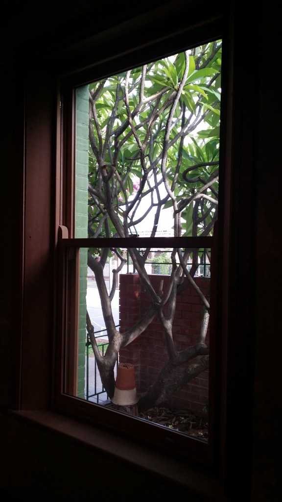 WRC single hung box frame window with double glaze glass. Angled aves and reveals.